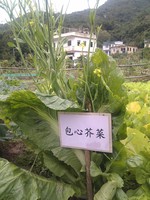 20100215Farm Visit25.jpg